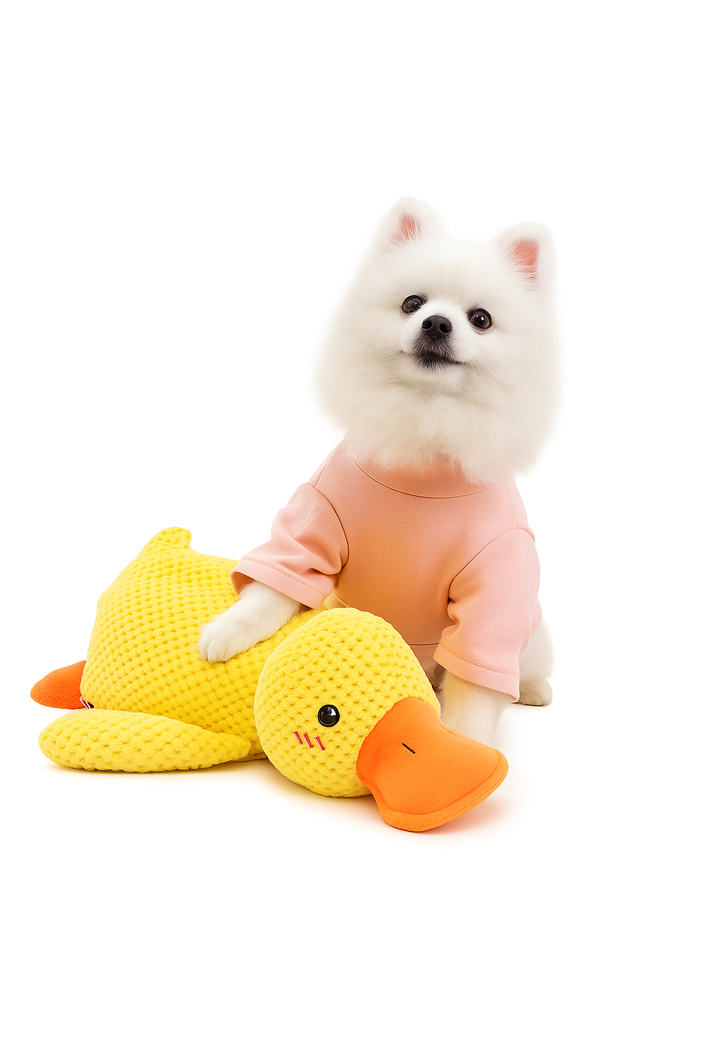 PlayQuack™ – Interactive Stomping Duck Plush Dog Toy